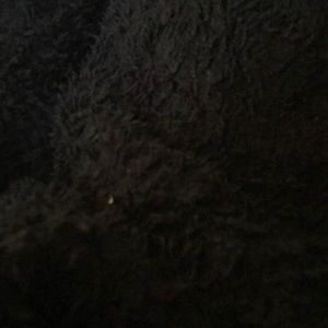 Meet your Posher, Alysha